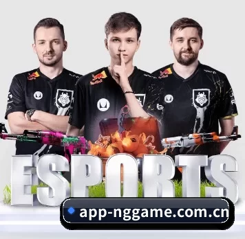 NG体育 APP 界面